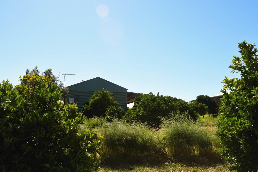Swan Valley Sisters Henley Brook المظهر الخارجي الصورة