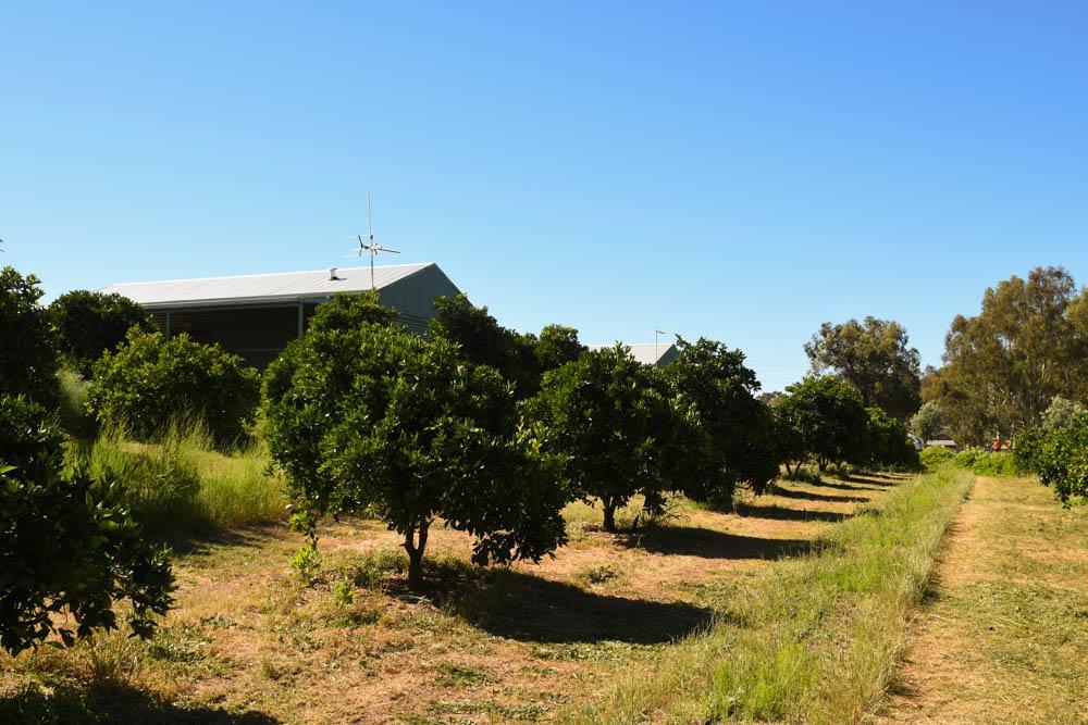 Swan Valley Sisters Henley Brook المظهر الخارجي الصورة