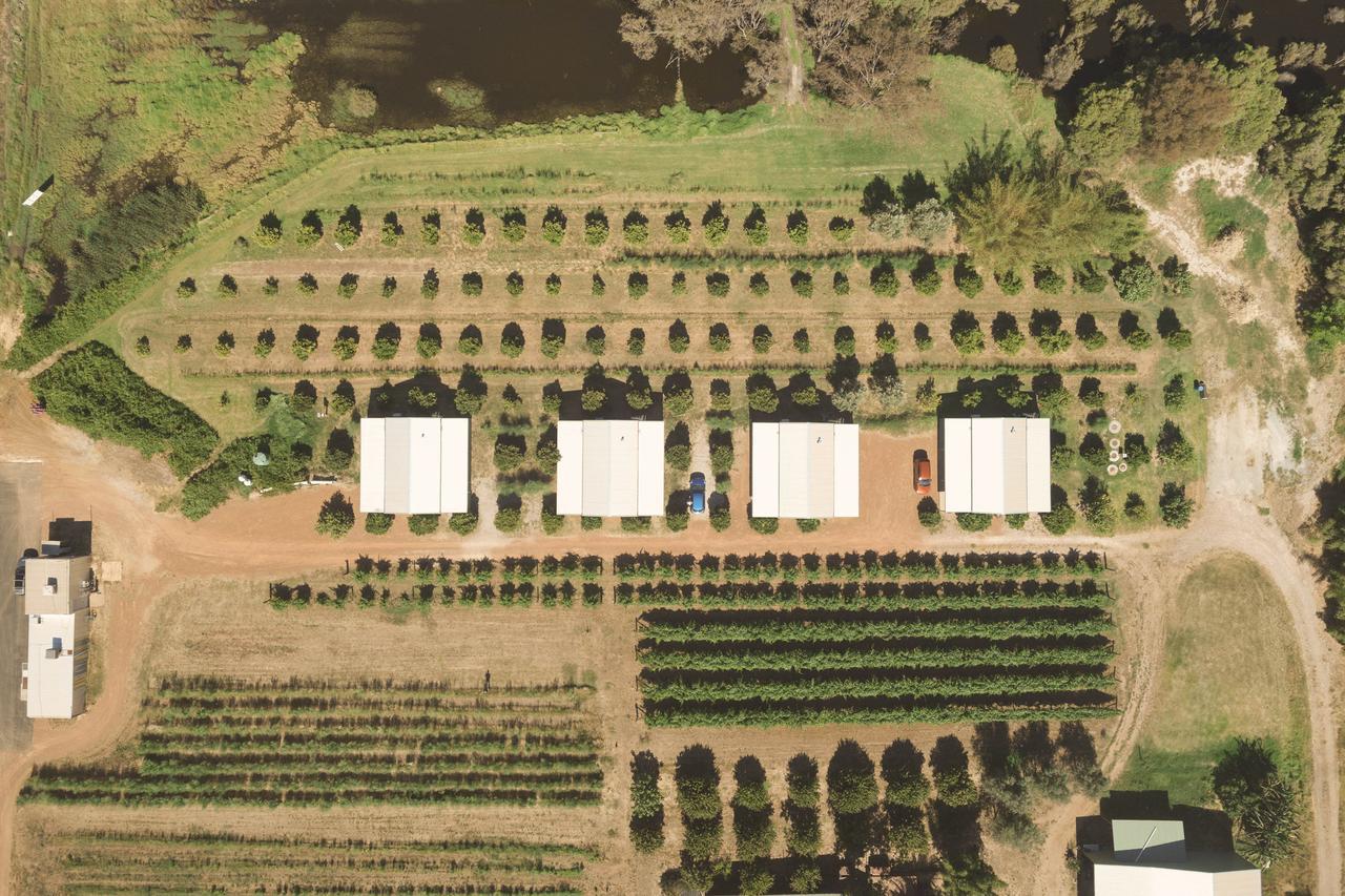 Swan Valley Sisters Henley Brook المظهر الخارجي الصورة