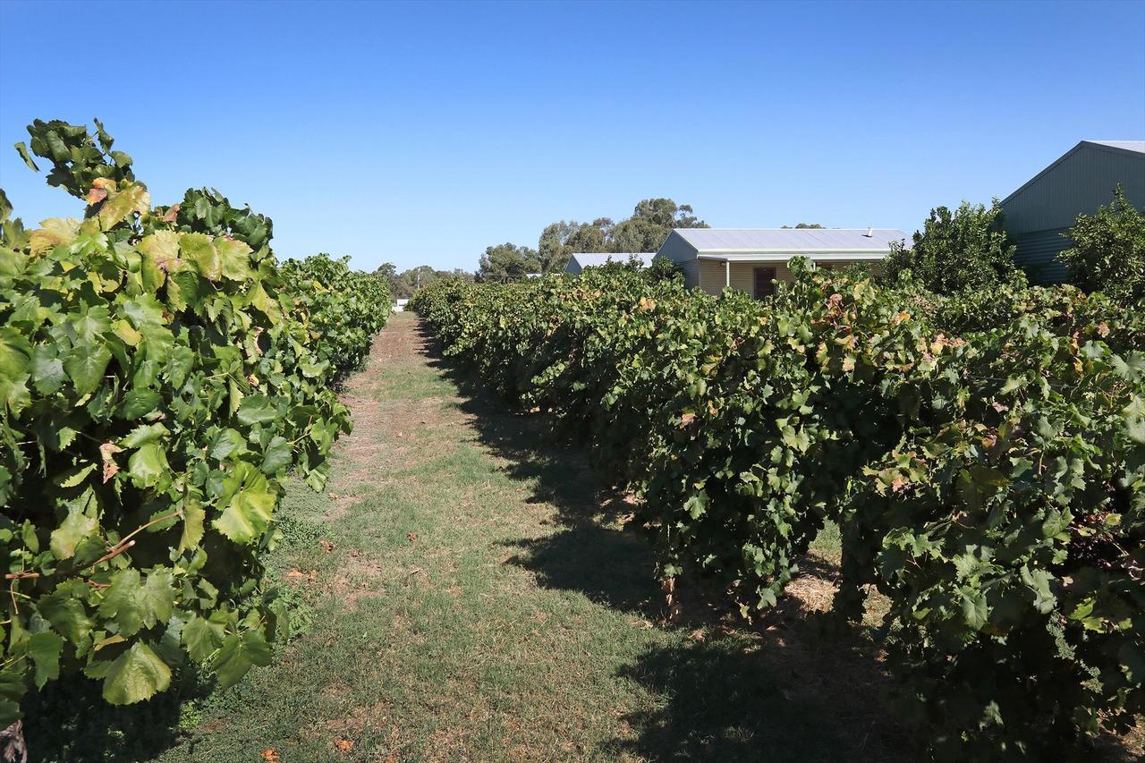 Swan Valley Sisters Henley Brook المظهر الخارجي الصورة