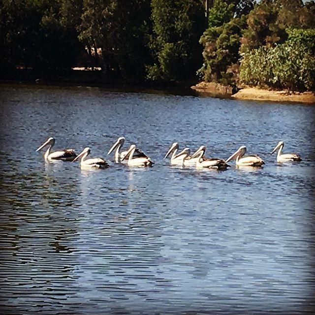 Swan Valley Sisters Henley Brook المظهر الخارجي الصورة